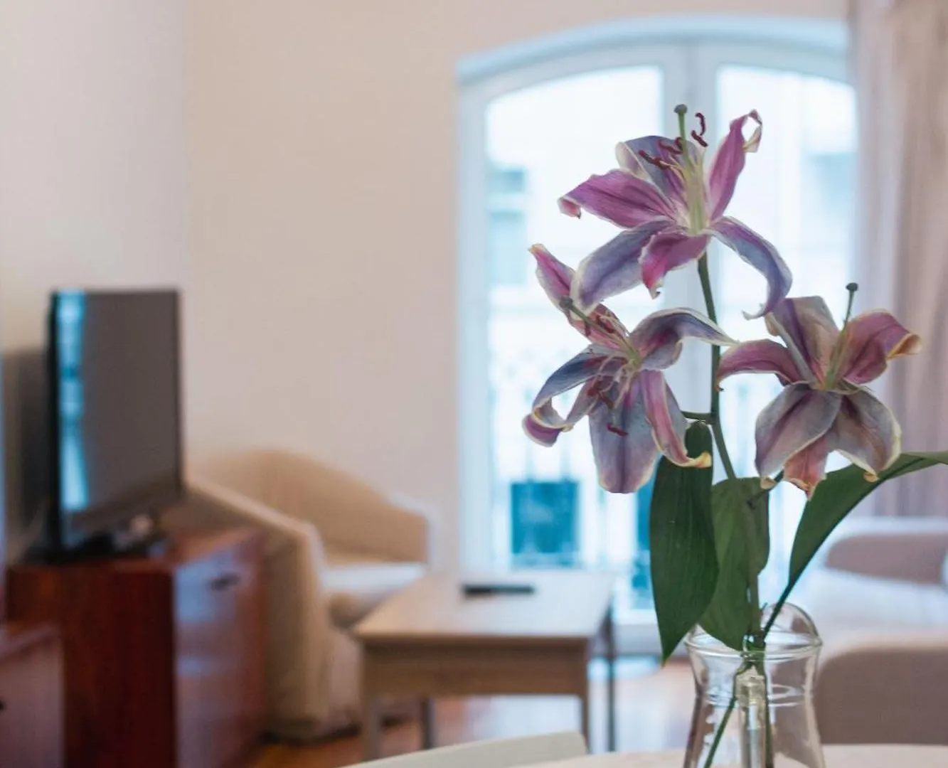Apartamento Con Vistas A La Playa De La Concha En Donostia-San Sebastian - Marina 1 0*,